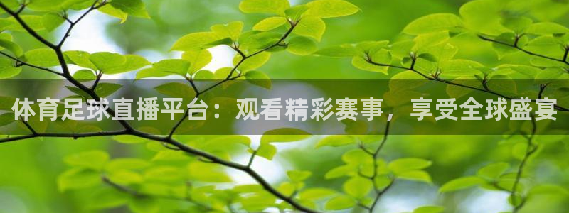 黑白nba直播官网：体育足球直播平台：观看精彩赛事，享受全球盛宴