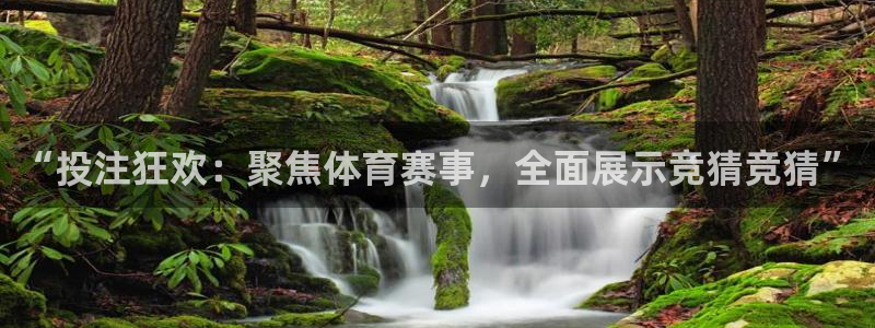 黑白nba免费直播在线观看：“投注狂欢：聚焦体育赛事，全面展示竞猜竞猜”