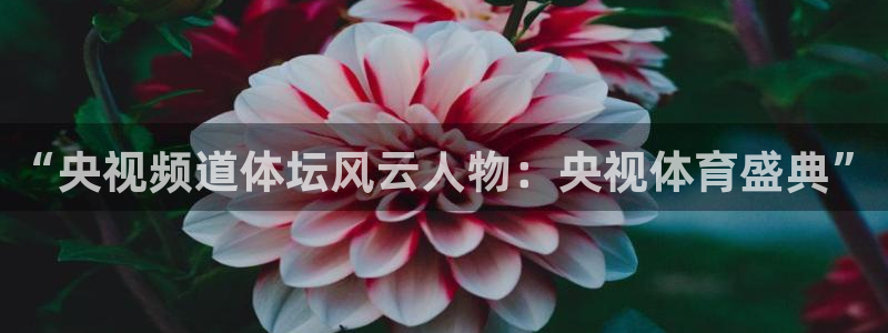 黑白体育视频直播：“央视频道体坛风云人物：央视体育盛典”