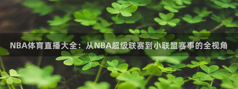 黑白体育比赛直播：NBA体育直播大全：从NBA超级联赛到小联盟赛事的全视角