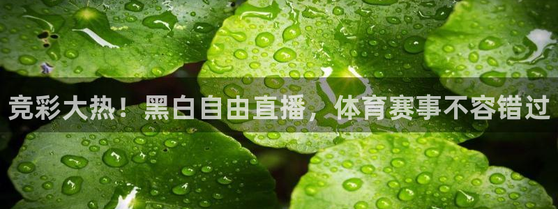 黑白nba直播在线直播：竞彩大热！黑白自由直播，体育赛事不容错过