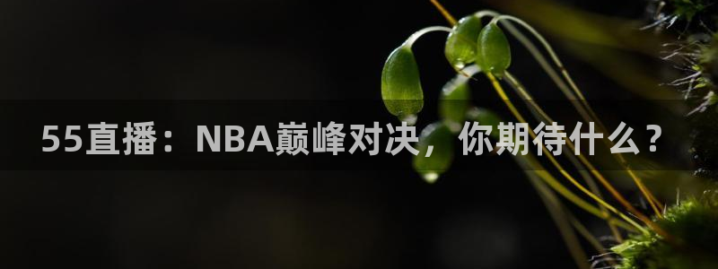 黑白篮球在线直播：55直播：NBA巅峰对决，你期待什么？