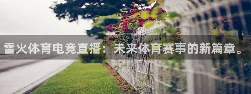 黑白直播官方免费下载：雷火体育电竞直播：未来体育赛事的新篇章。