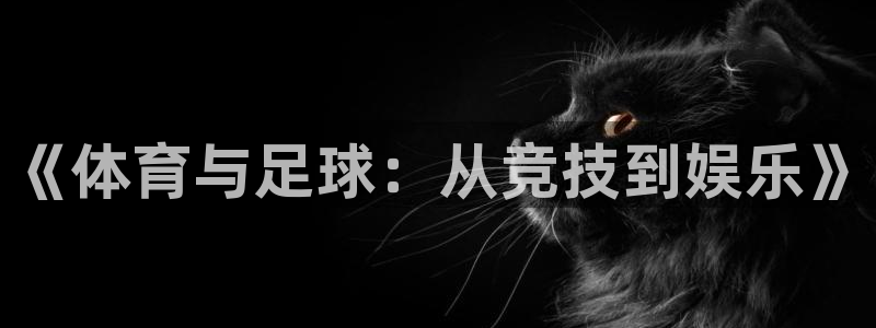 黑白直播jrs直播nba：《体育与足球：从竞技到娱乐》