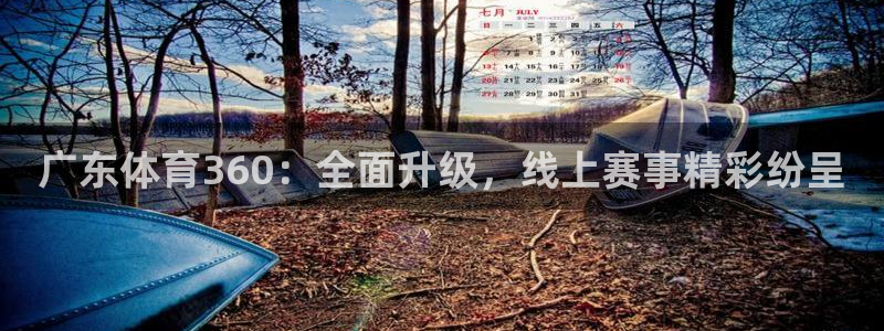 黑白体育直播免费：广东体育360：全面升级，线上赛事精彩纷呈