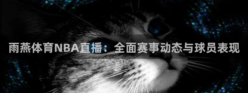 黑白直播篮球直播免费观看：雨燕体育NBA直播：全面赛事动态与球员表现