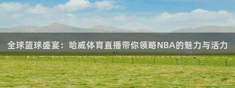 黑白直播体育在线：全球篮球盛宴：哈威体育直播带你领略NBA的魅力与活力