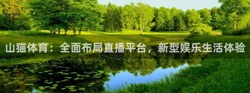 黑白体育直播app下载：山猫体育：全面布局直播平台，新型娱乐生活体验