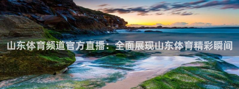 黑白直播免费体育直播足球：山东体育频道官方直播：全面展现山东体育精彩瞬间