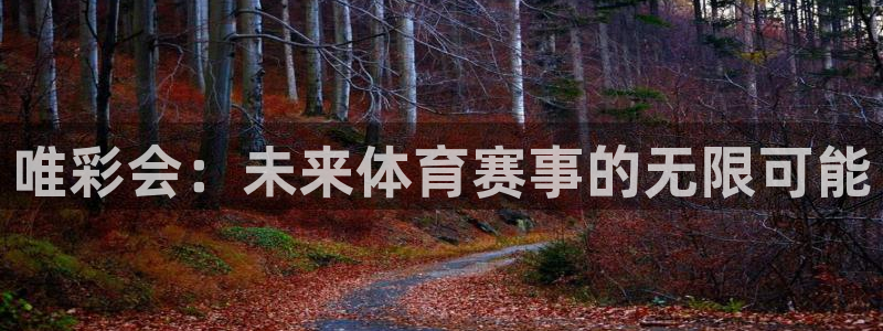 黑白足球比赛直播：唯彩会：未来体育赛事的无限可能