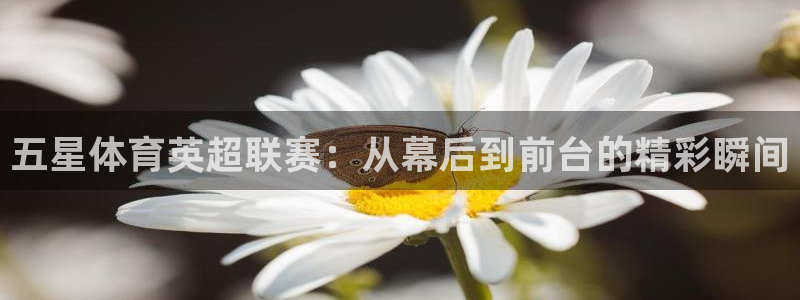 黑白直播nba免费观看下载篮球：五星体育英超联赛：从幕后到前台的精彩瞬间